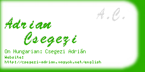 adrian csegezi business card