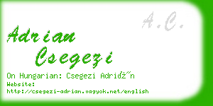 adrian csegezi business card